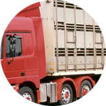 Livestock Transportation