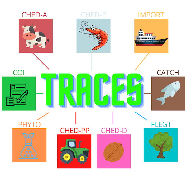TRACES-2