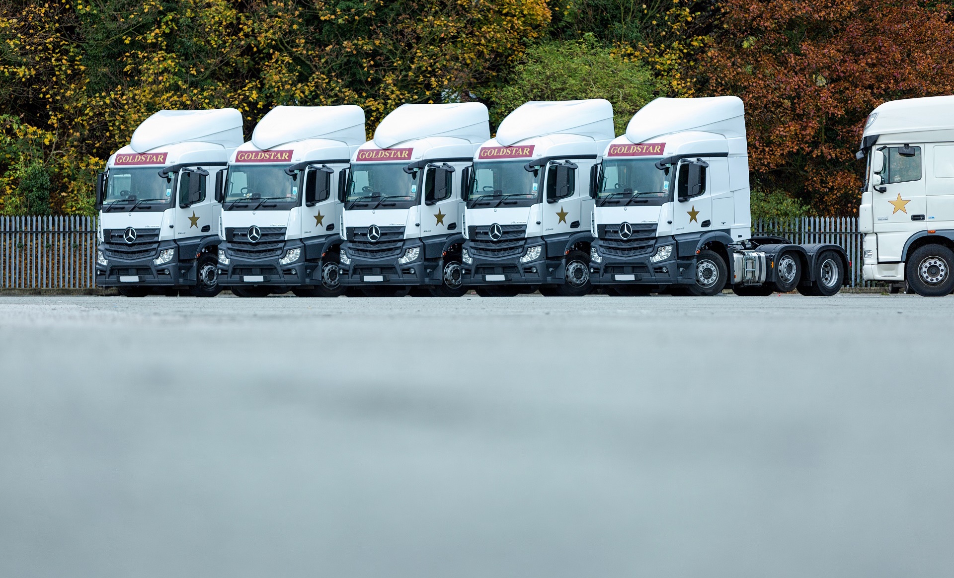 Turners purchase container haulier goldstar transport